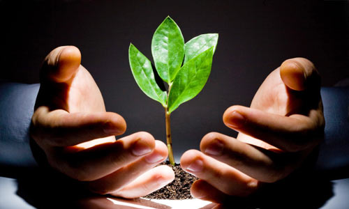 聯(lián)貝小編講講:食品商標(biāo)如何注冊(cè)